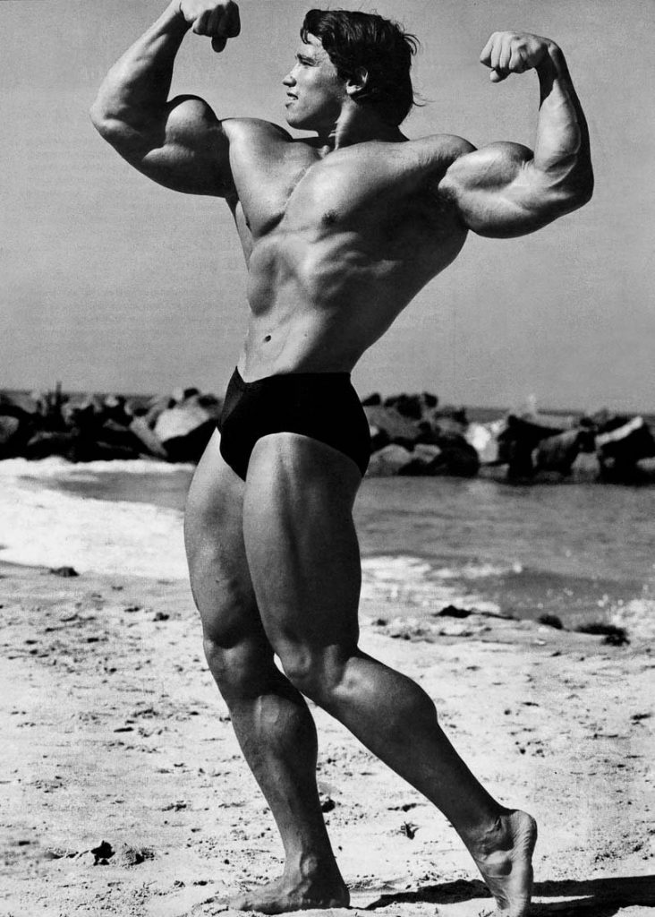 Arnold Schwarzenegger Nude - Bodybuilder Arnold Schwarzenegger NAKED [It's Bigger Than You Think!] -  Leaked Men