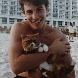 Shawn Mendes hot body
