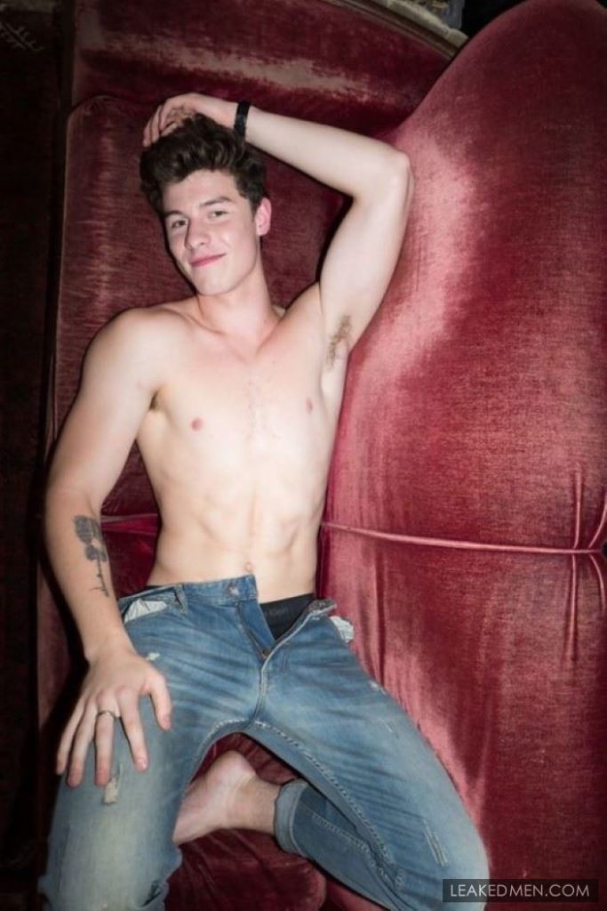Shawn Mendes naked body