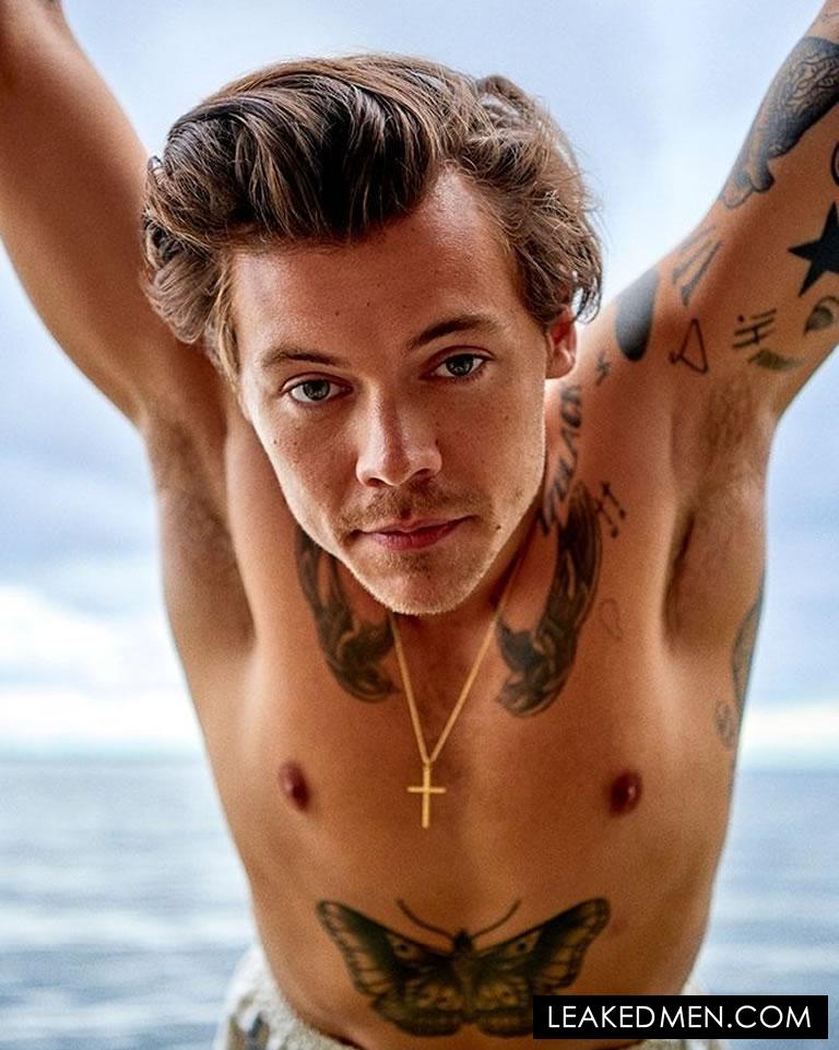 Harry Styl Nude Uncensored Telegraph