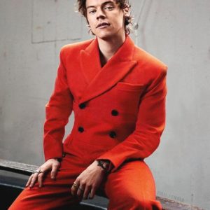 Harry Styles sexy modeling picture
