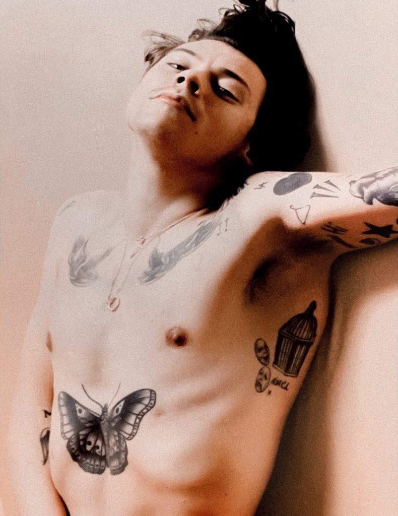 Harry Styles modeling session (NSFW)